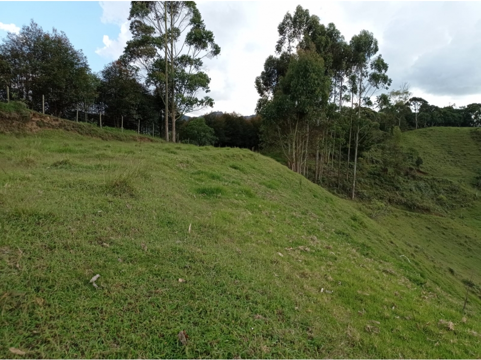 Lote en Venta en el Retiro en Parcelación, Vía Don Diego la Ceja — foto 3