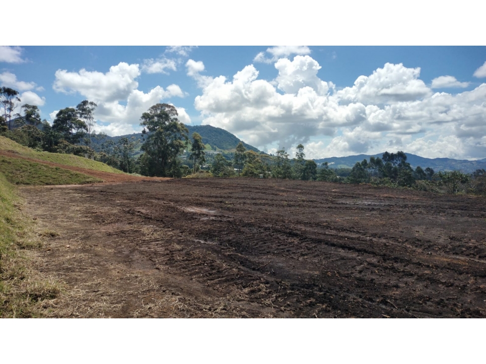 Lote en Venta Sector Vereda Yarumo, La Ceja