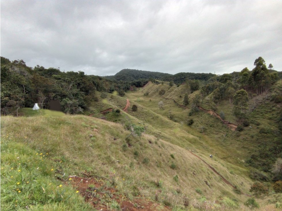 Lote en Venta en Parcelación Vía el Retiro - La Ceja Vereda Pantanillo