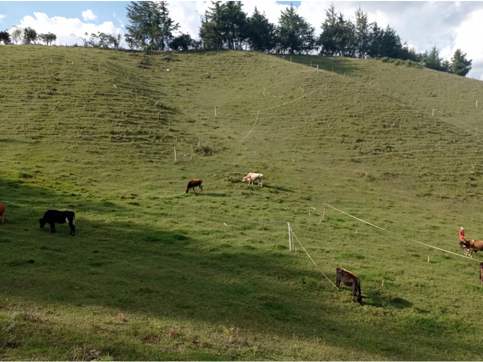 Lote en Venta en Nueva Parcelación en el Retiro, Sector El Chuscal