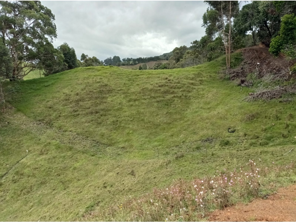 Hermoso Lote en Venta Parcelación Vía el Retiro - La Ceja Pantanillo — foto 4
