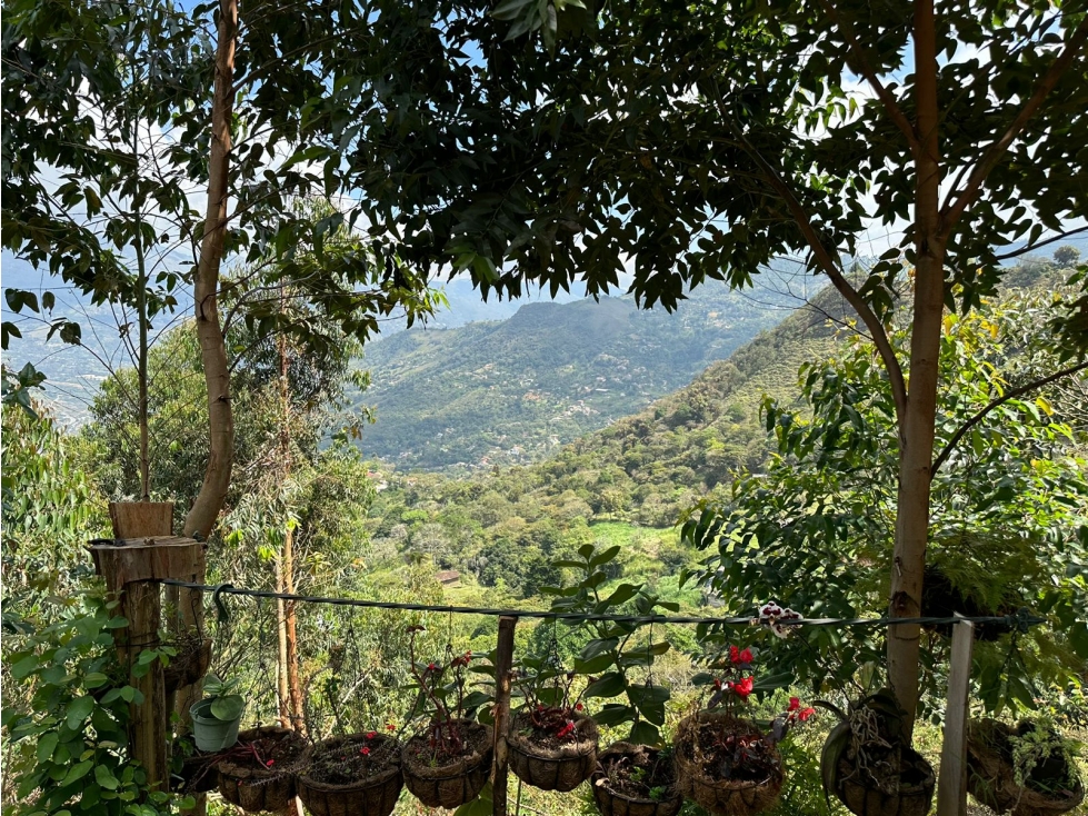 Venta o Permuta Hermosa Finca con Terreno para Cultivos en Copacabana — foto 4