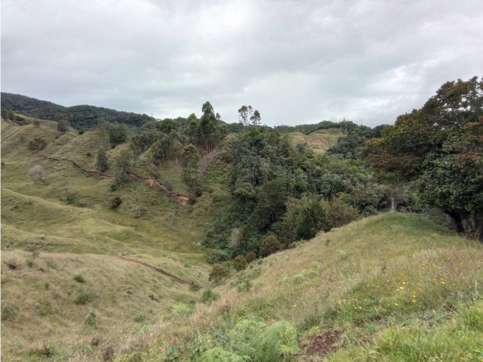 Lote en Venta en Parcelación Vía el Retiro - La Ceja Vereda Pantanillo — foto 5