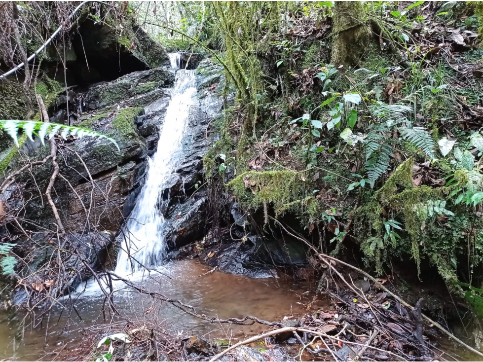 Lote en Venta con Paso de Agua, en Guarne, Vereda la Honda