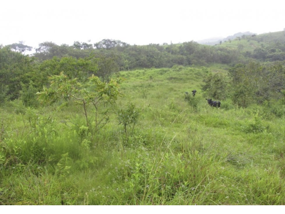 Lote en Venta sector Popalito en Barbosa — foto 2