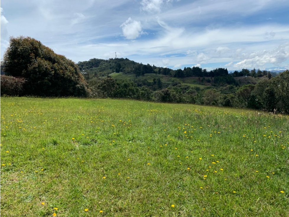 Lote en Venta en el Alto de Las Palmas — foto 2