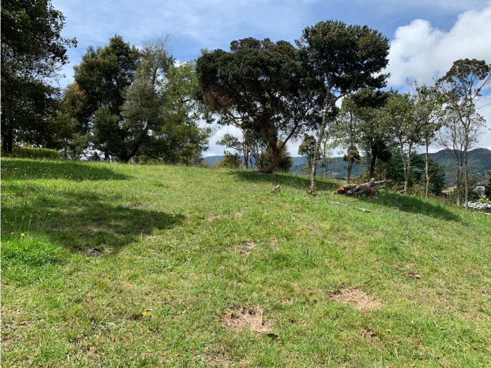 Lote en Venta en el Alto de Las Palmas — foto 4