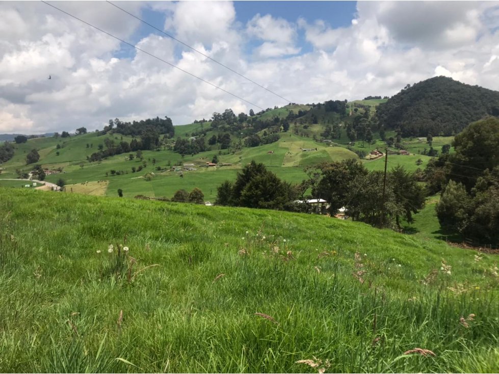 Lote en Venta en San Pedro de los Milagros Vereda La Pulgarina — foto 2