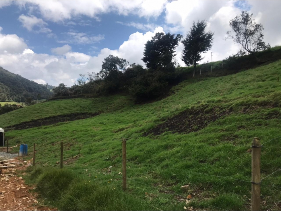 Lote en Venta en San Pedro de los Milagros Vereda La Pulgarina — foto 3