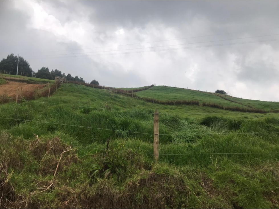 Lote en Venta en San Pedro de los Milagros Vereda La Pulgarina — foto 2