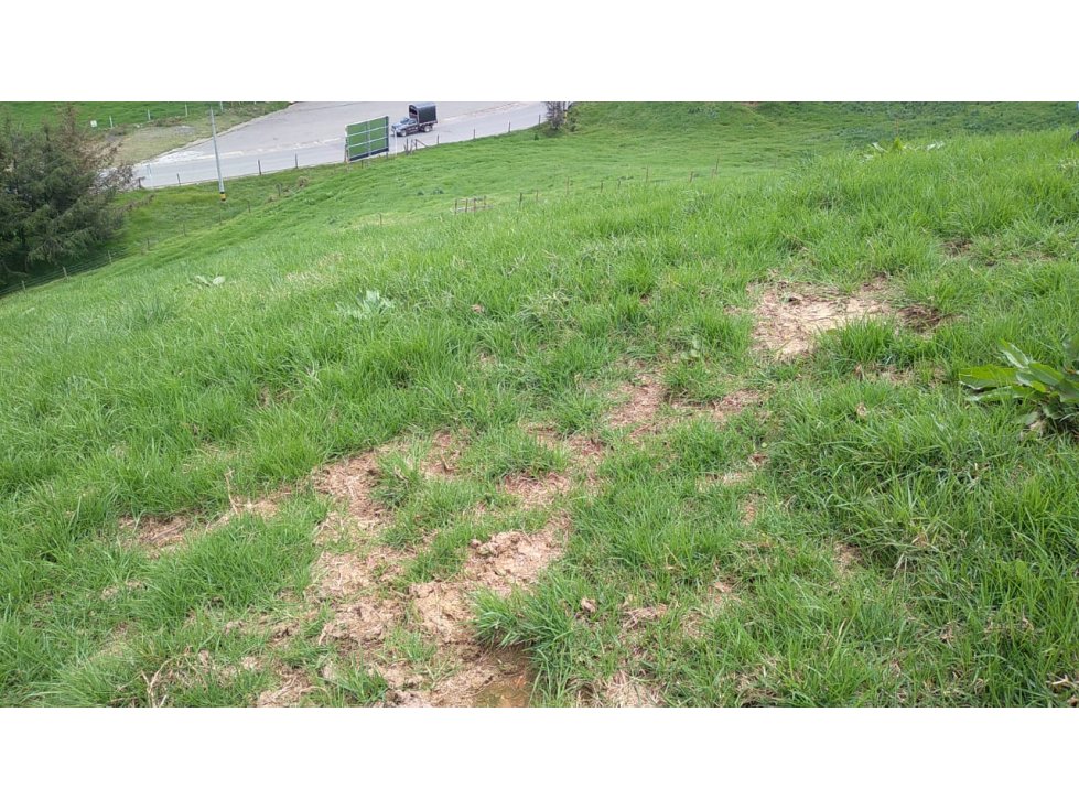 Lote en Venta en San Pedro de los Milagros Vereda La Pulgarina — foto 2