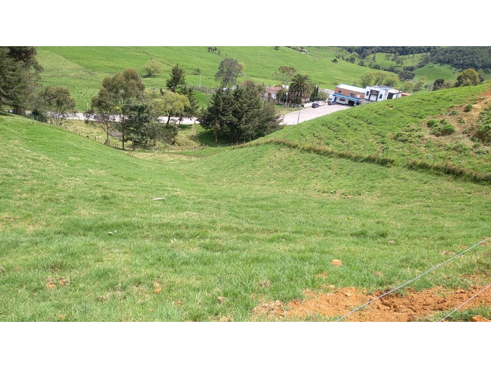 Lote en Venta en San Pedro de los Milagros Vereda La Pulgarina — foto 2