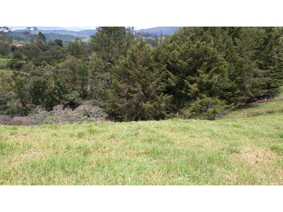 Lote en Venta Vereda La Pulgarina en San Pedro de los Milagros — foto 2