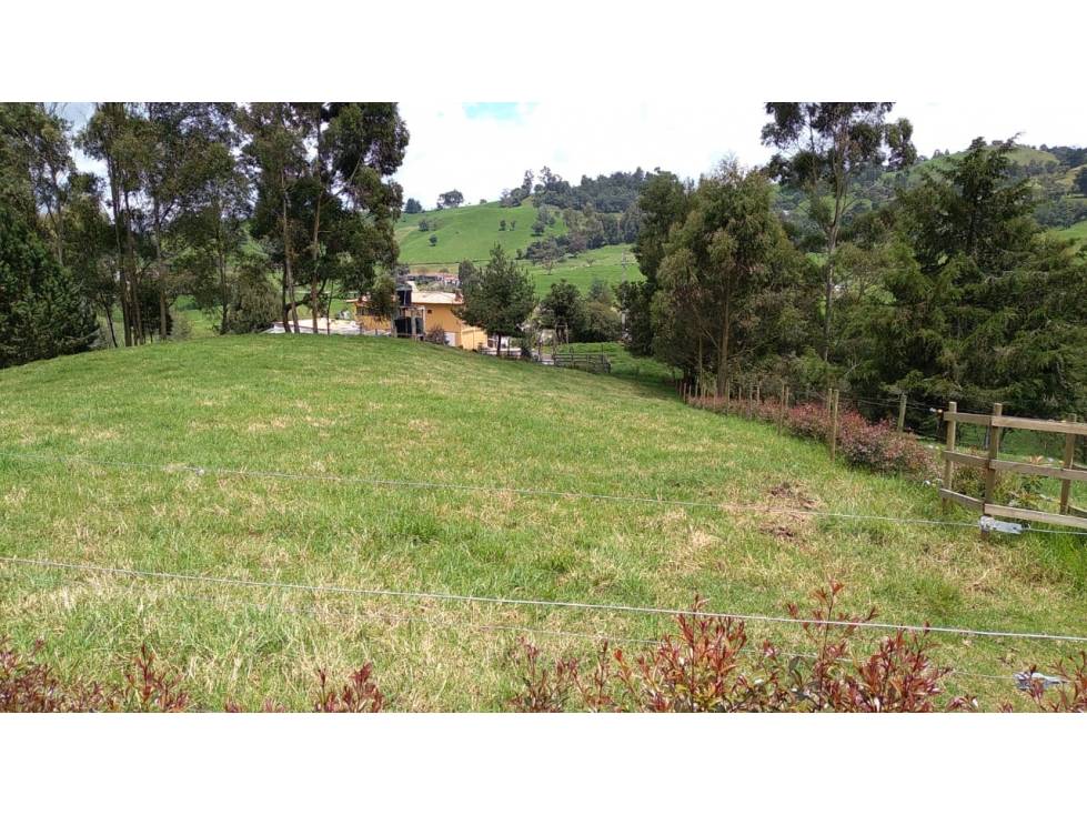 Lote en Venta Vereda La Pulgarina en San Pedro de los Milagros — foto 3