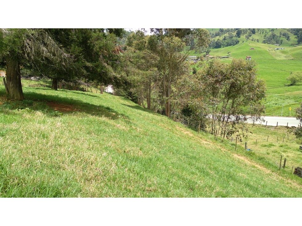 Lote en Venta Vereda La Pulgarina en San Pedro de los Milagros — foto 2