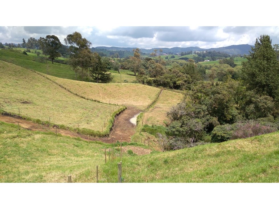 Lote en Venta Vereda La Pulgarina en San Pedro de los Milagros — foto 5