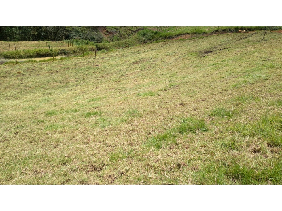 Lote en Venta en la Vereda La Pulgarina San Pedro de los Milagros