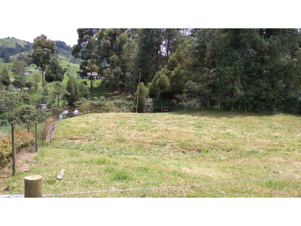 Lote en Venta Vereda La Pulgarina en San Pedro de los Milagros