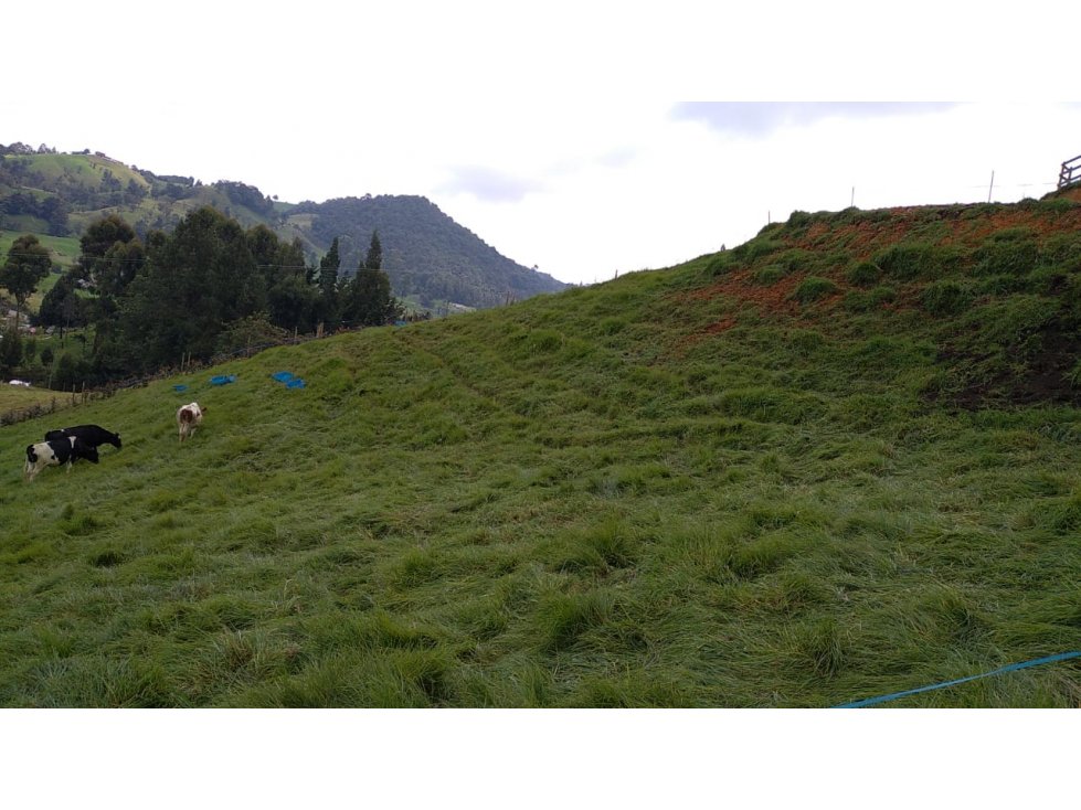 Lote en Venta Vereda La Pulgarina en San Pedro de los Milagros