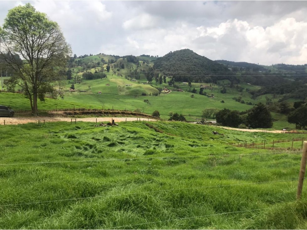 Lote en Venta Vereda La Pulgarina en San Pedro de los Milagros — foto 3