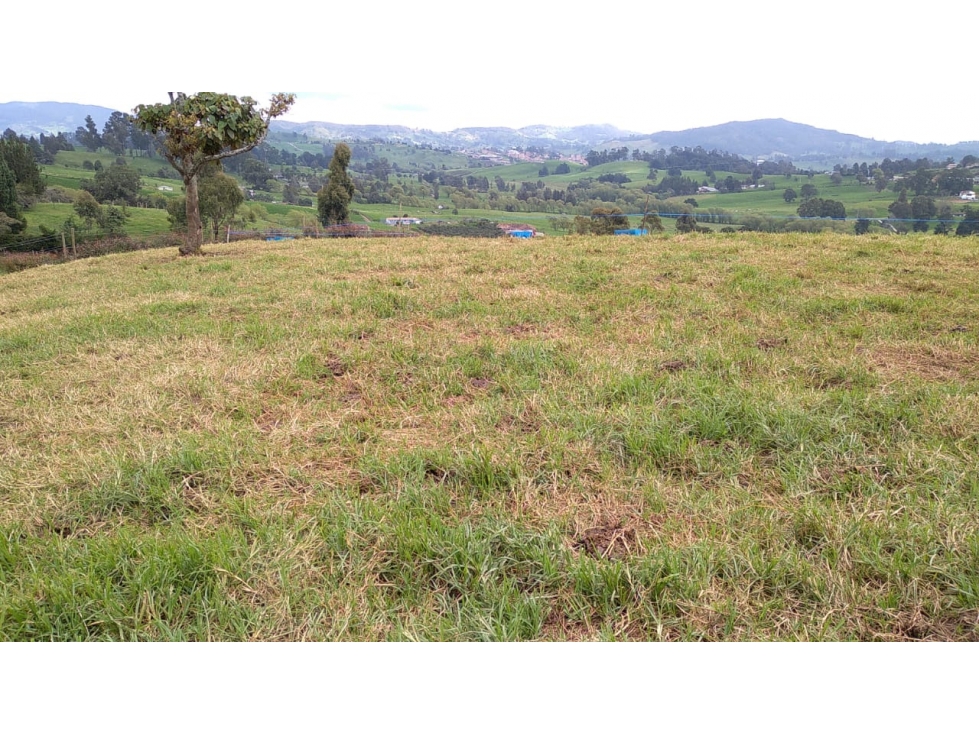 Lote en Venta Vereda La Pulgarina en San Pedro de los Milagros — foto 2