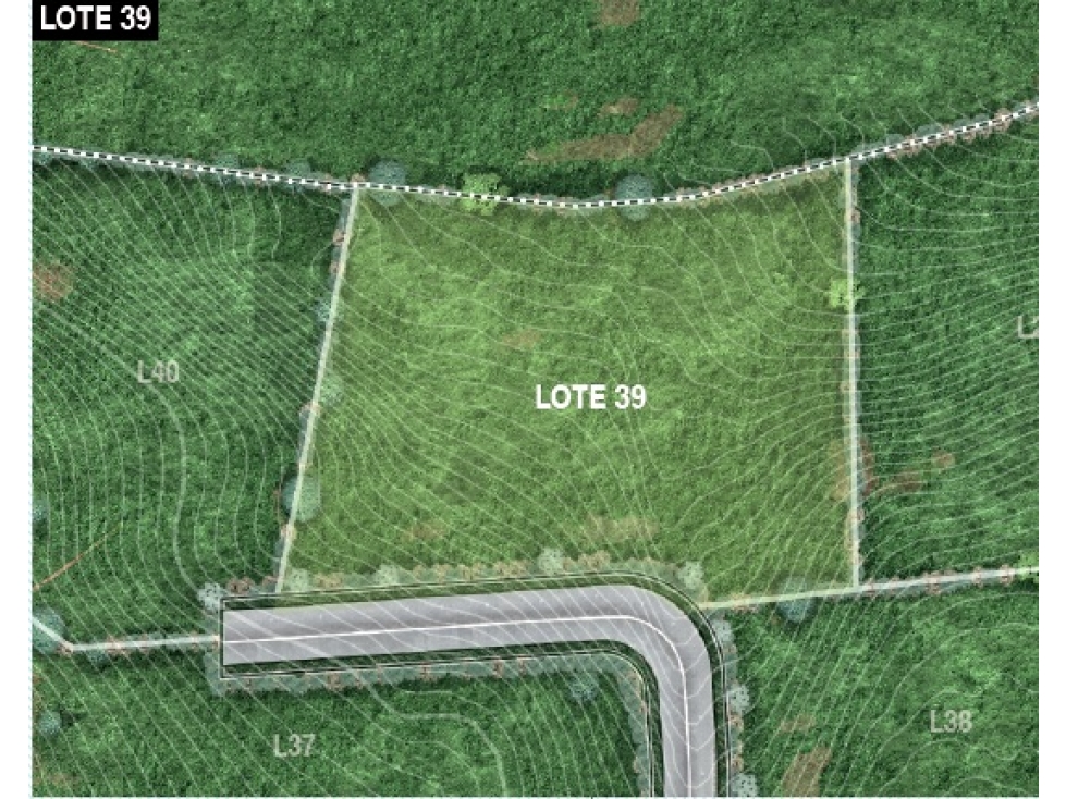 Lote en Venta Vereda La Pulgarina en San Pedro de los Milagros — foto 6