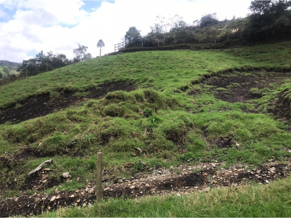 Lote en Venta Vereda La Pulgarina en San Pedro de los Milagros