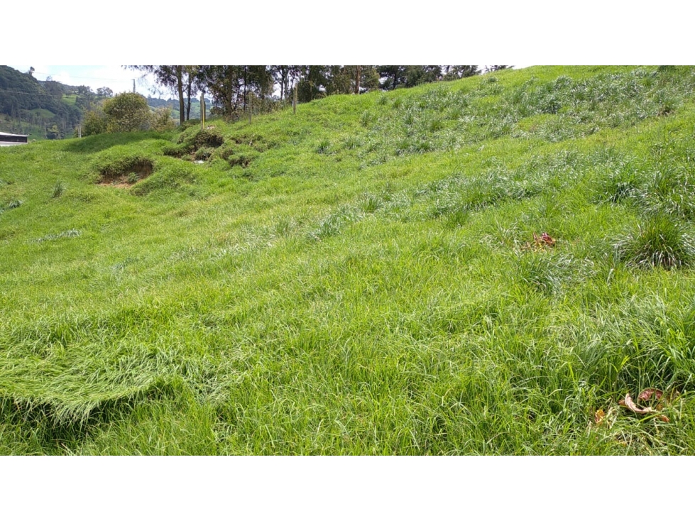 Lote en Venta Vereda La Pulgarina en San Pedro de los Milagros