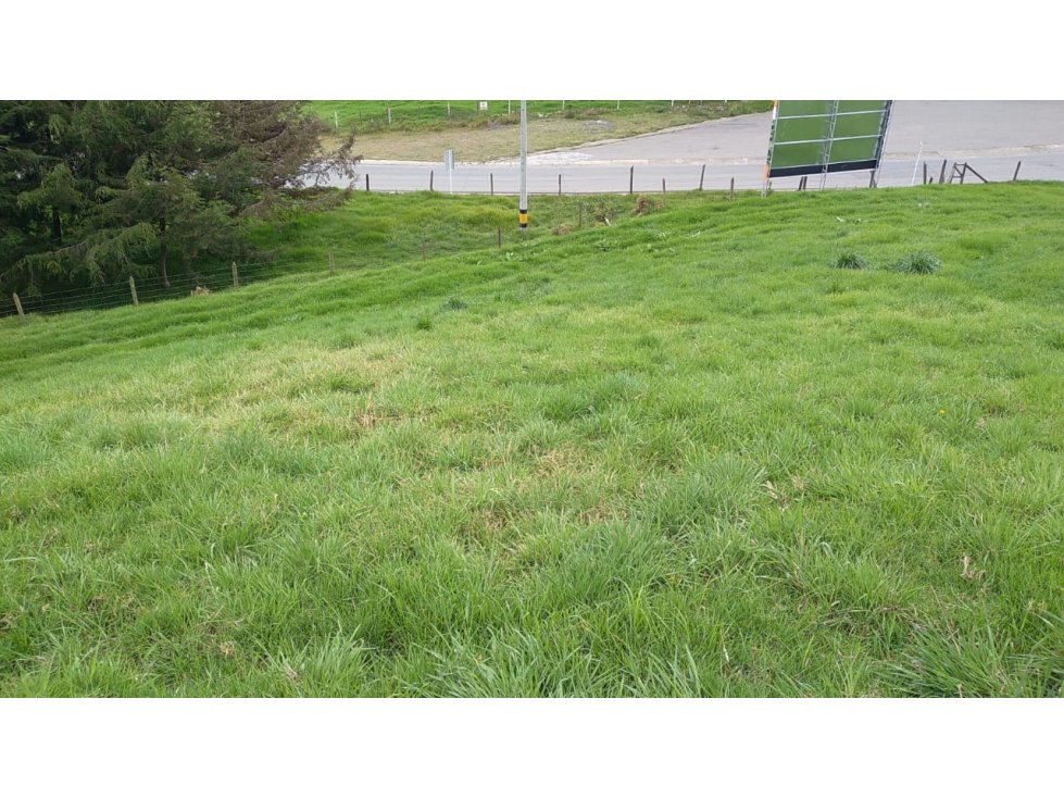 Lote en Venta Vereda La Pulgarina en San Pedro de los Milagros