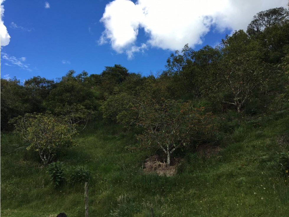 Finca con Posibilidad de Parcelar en Venta sector Pantanillo El Retiro - 4