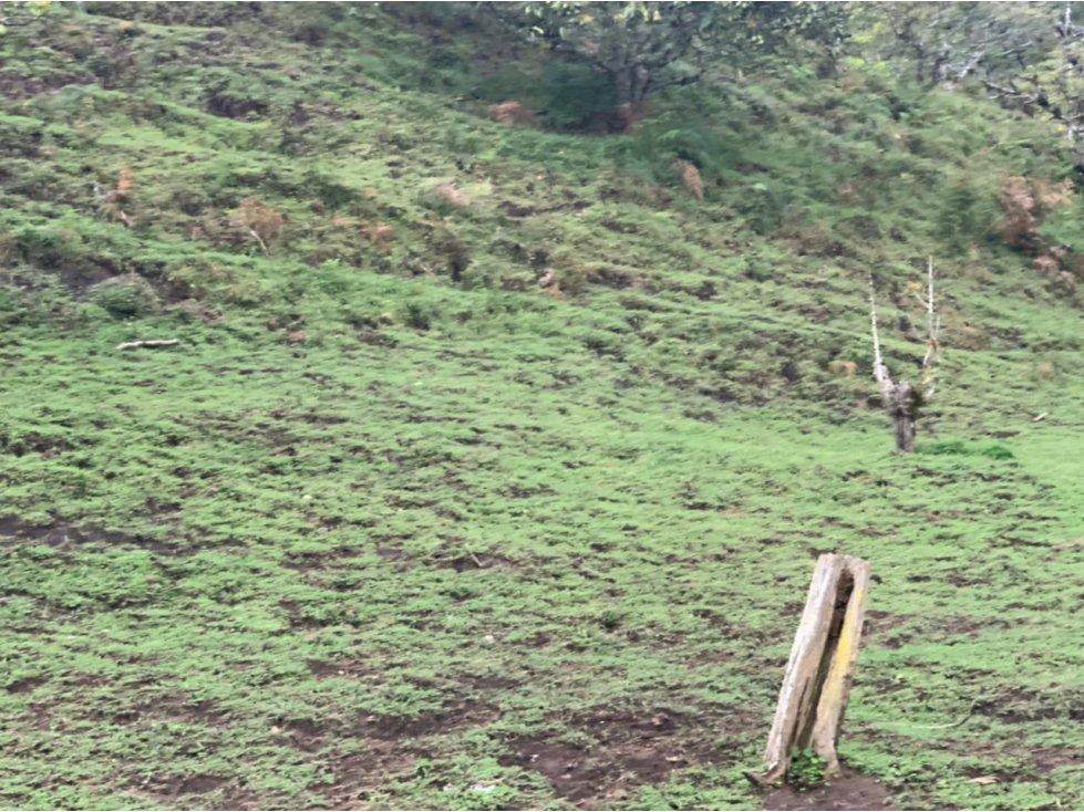 Lote en Venta sector Pantanillo en El Retiro — foto 3