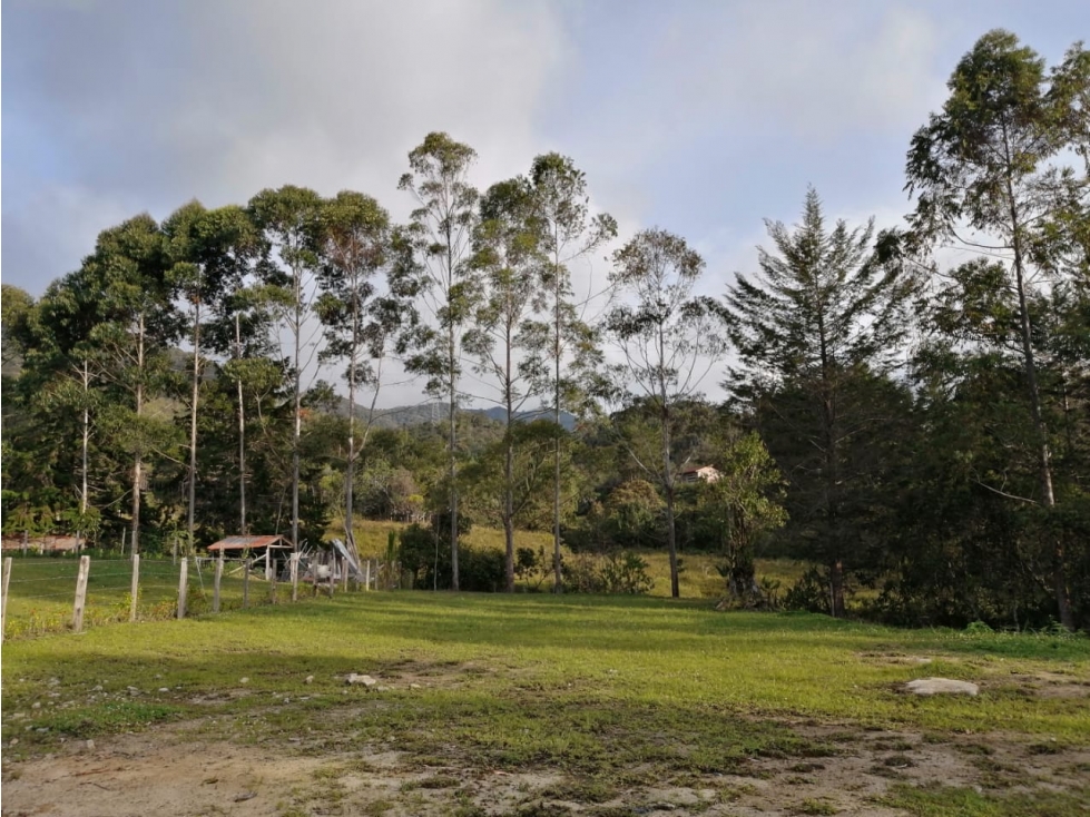 Lote en Venta en Guatapé Sector Los Benedictinos — foto 2