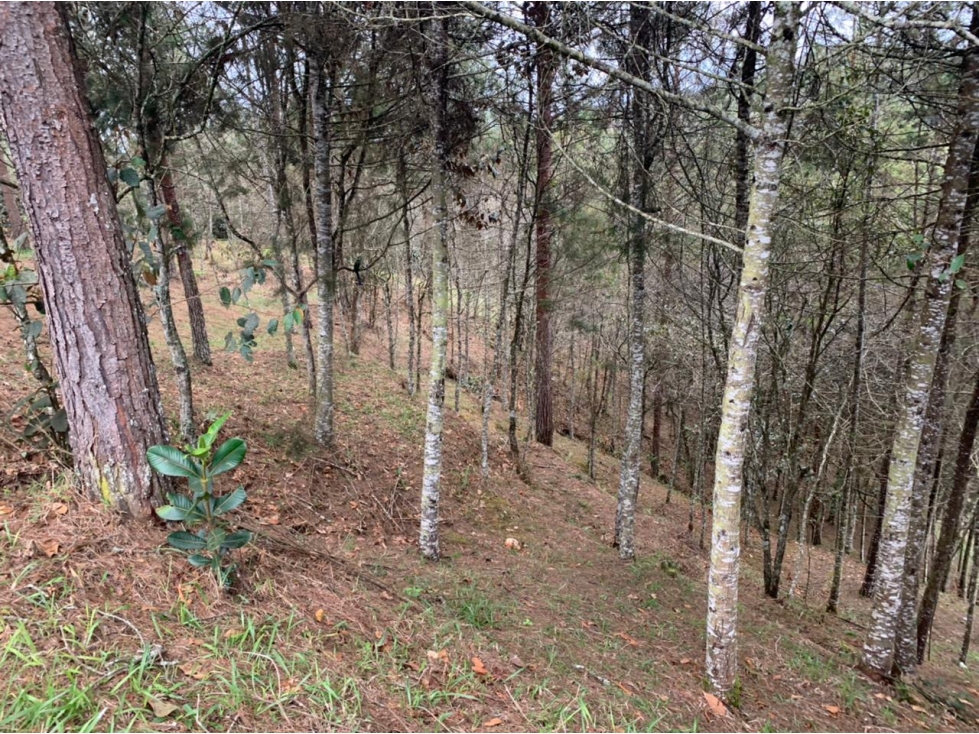 Lote en Venta Sector Lejos del Nido en el Retiro — foto 6