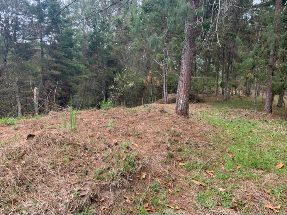 Lote en Venta en el Retiro Sector Lejos del Nido — foto 4