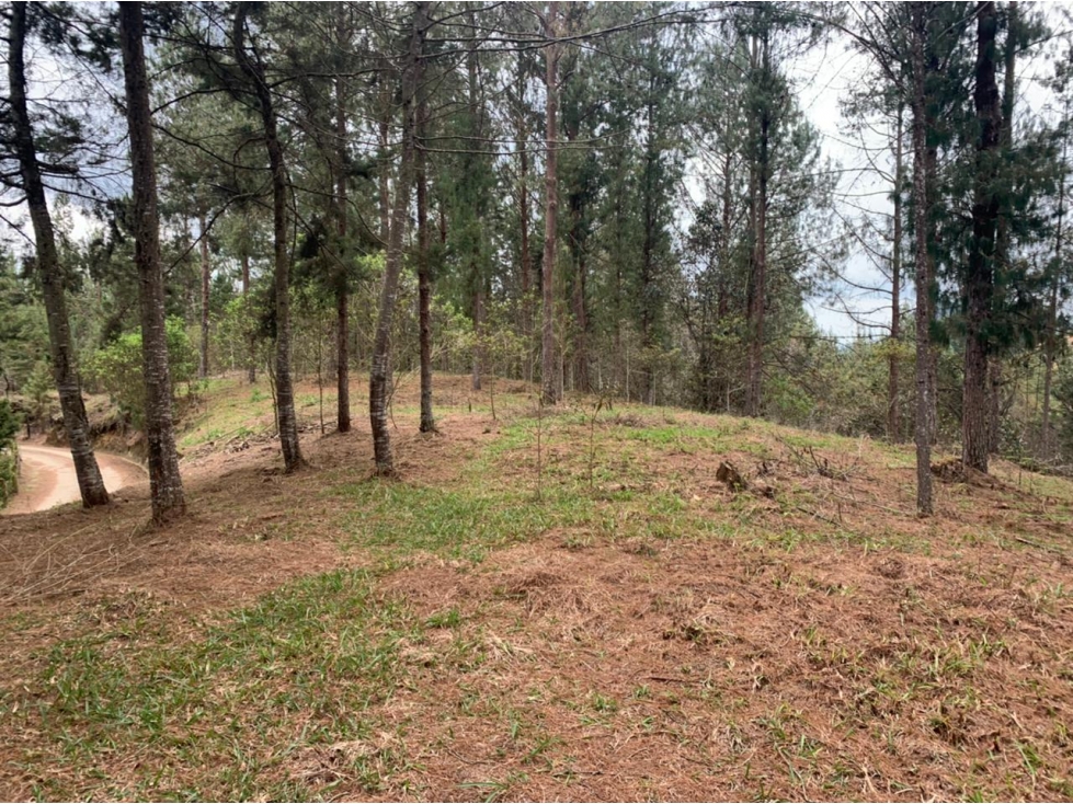 Lote en Venta Sector Lejos del Nido, el Retiro — foto 4