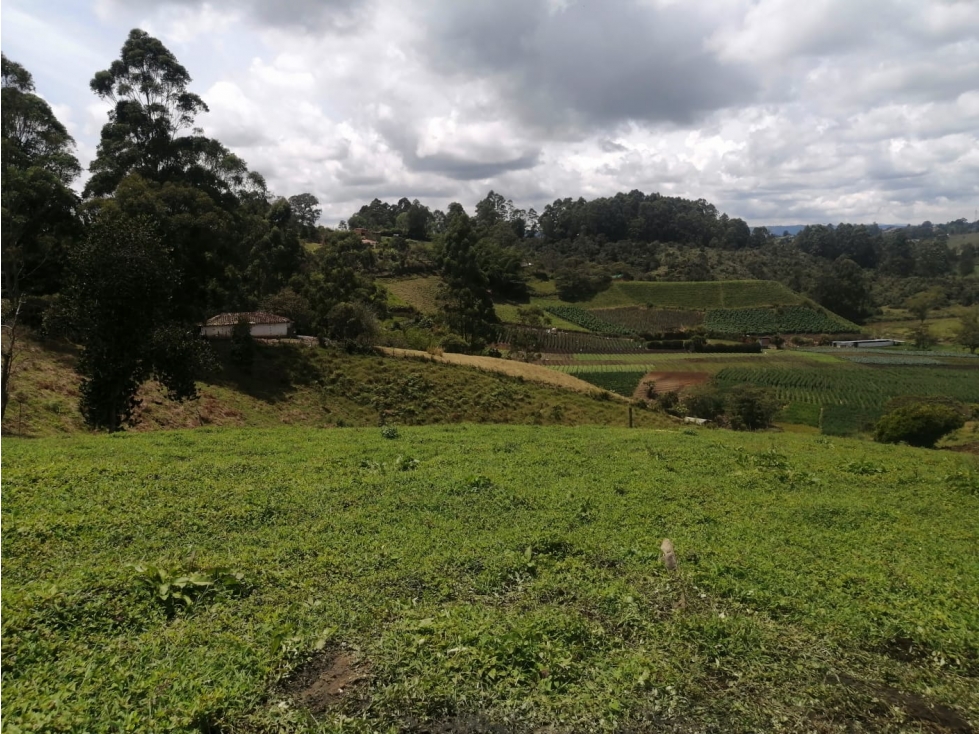Lote en Venta Sector la Primavera en Marinilla