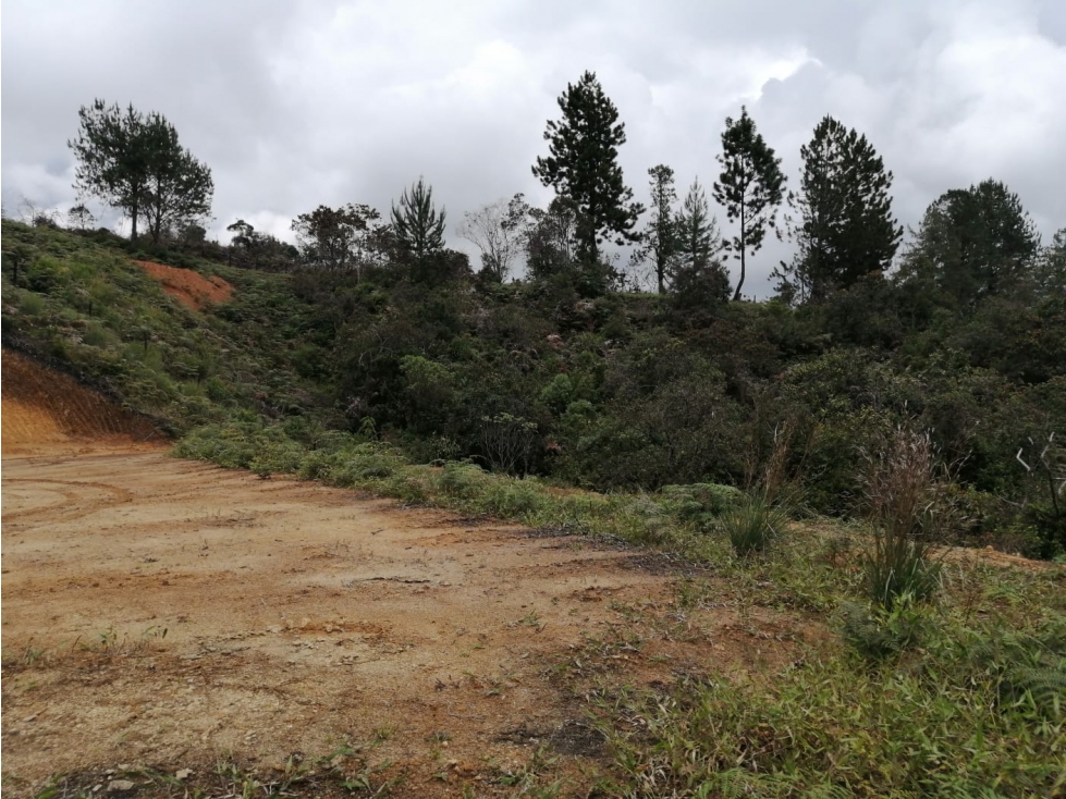 Lote en Venta en Sector La Truchera San Vicente — foto 5