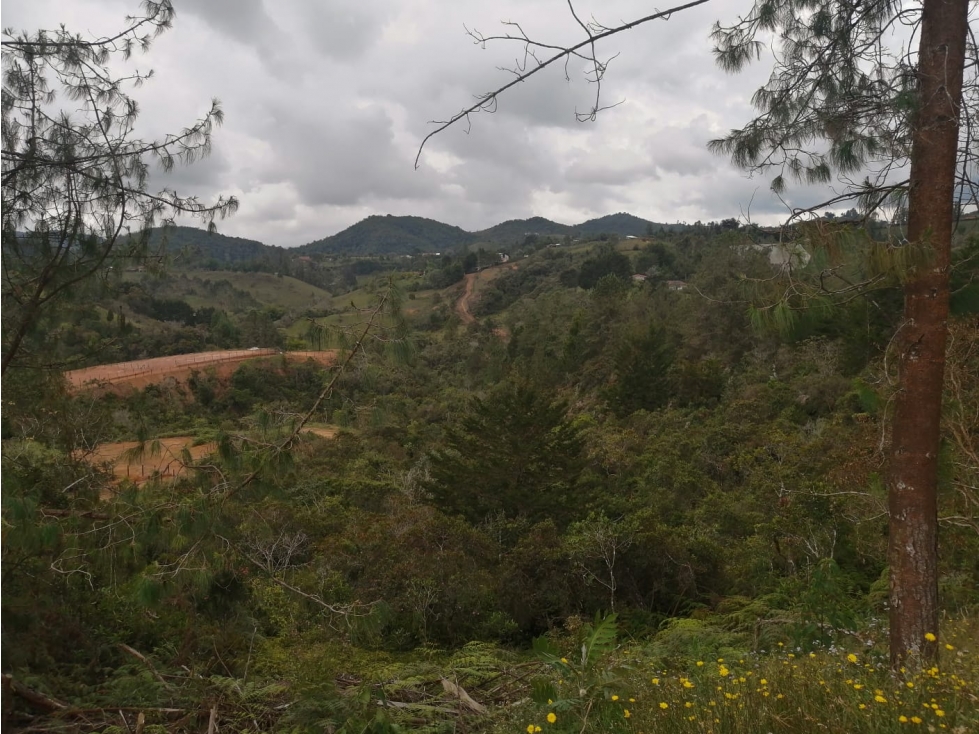 Lote en Venta Sector La Truchera San Vicente — foto 3