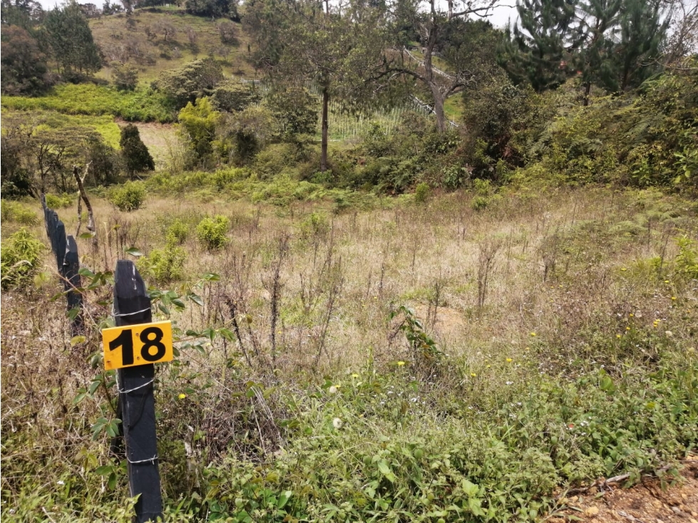 Lote en Venta Municipio de San Vicente, Sector la Truchera — foto 2