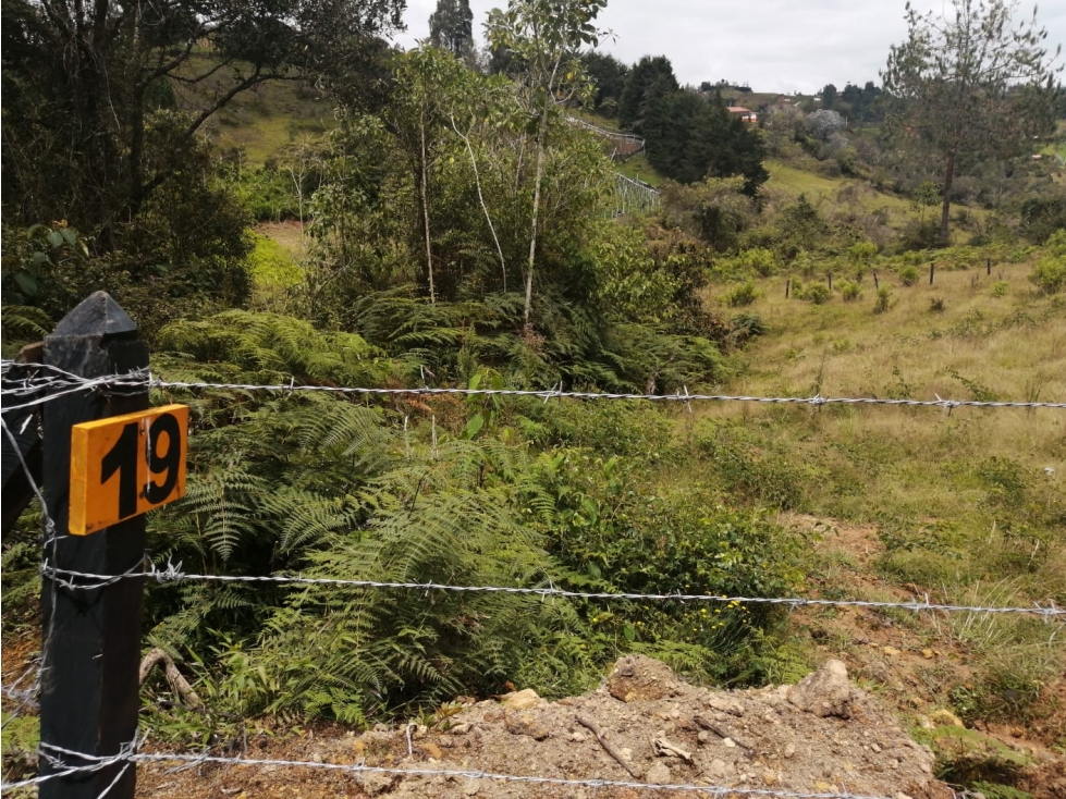 Lote en Venta Municipio de San Vicente en el Sector de la Truchera — foto 2