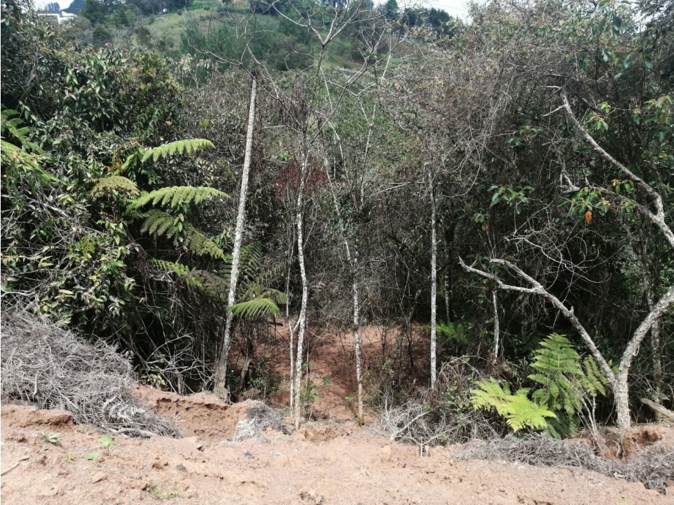 Lote en Venta Sector La Truchera Municipio de San Vicente — foto 4