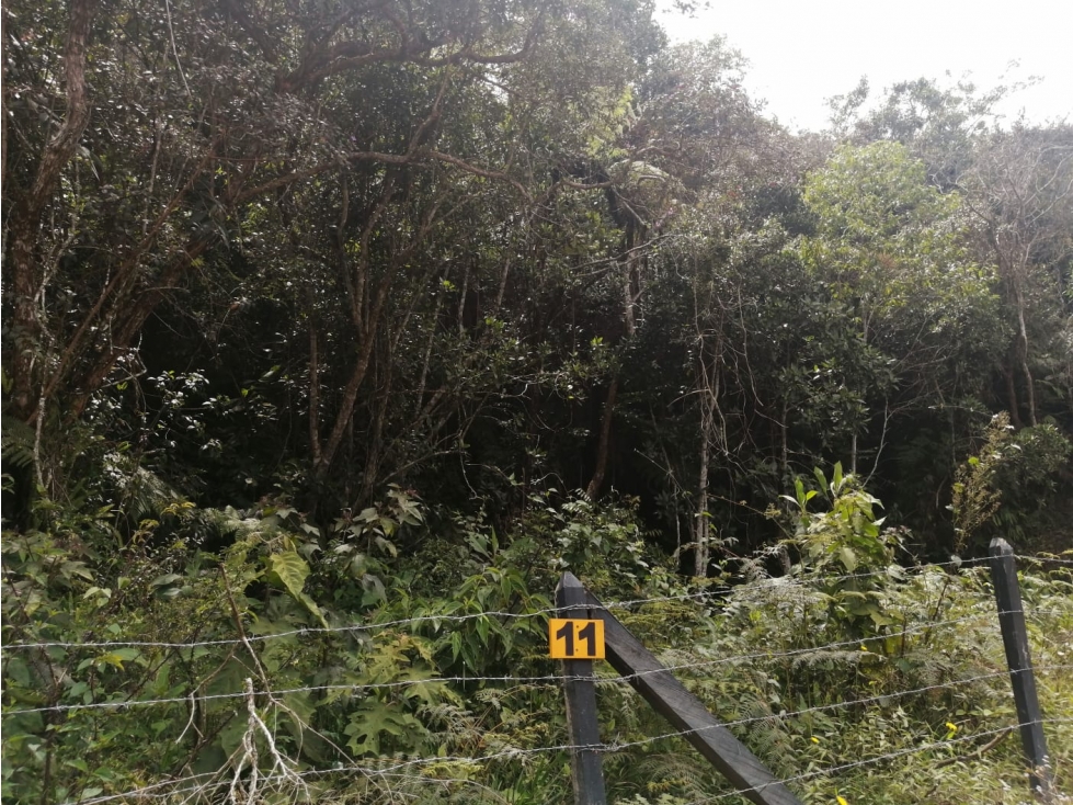 Lote en Venta Sector la Truchera, Municipio de San Vicente — foto 2