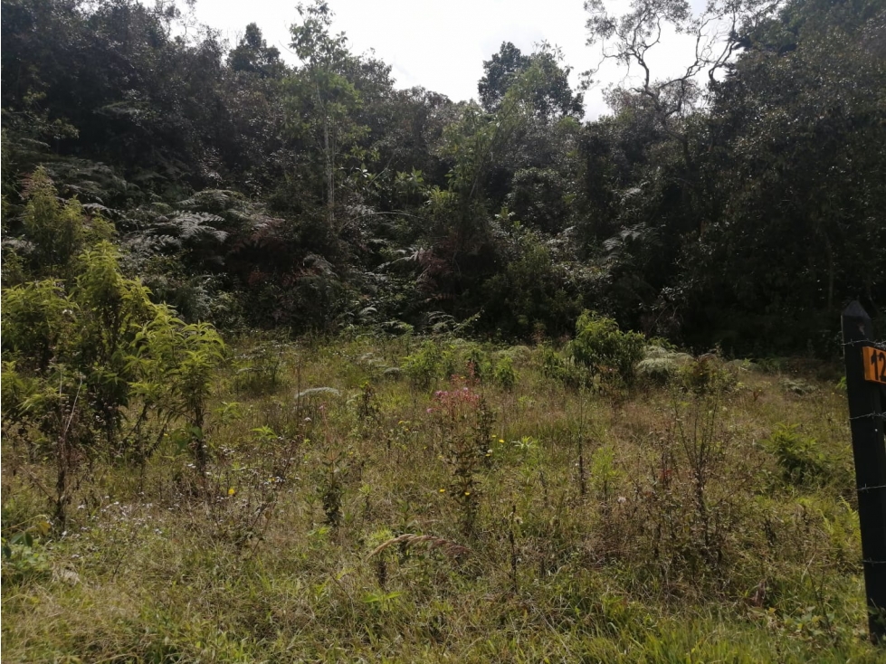 Lote en Venta en el Sector la Truchera Municipio de San Vicente