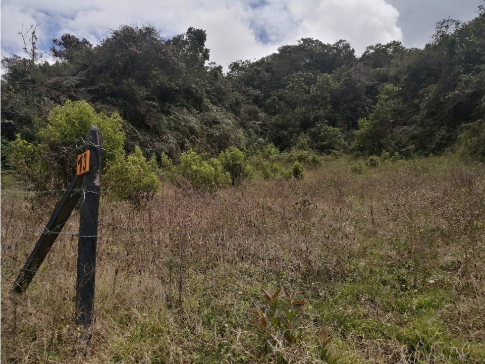 Lote en Venta Municipio de San Vicente Sector la Truchera — foto 3