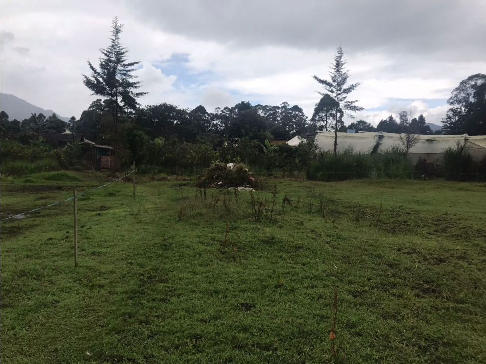 Lotes en Venta Sector Las Lomitas en la Ceja