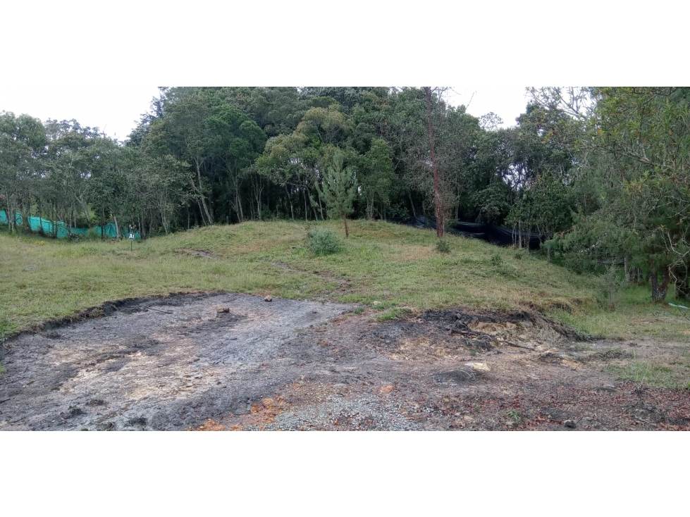 Lote en Venta Alto de las Palmas Sector el Silencio Envigado — foto 2