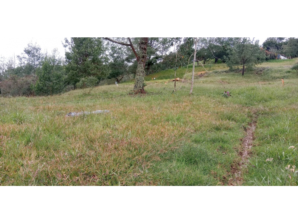 Lote en Venta Sector el Silencio Alto de las Palmas Envigado — foto 5
