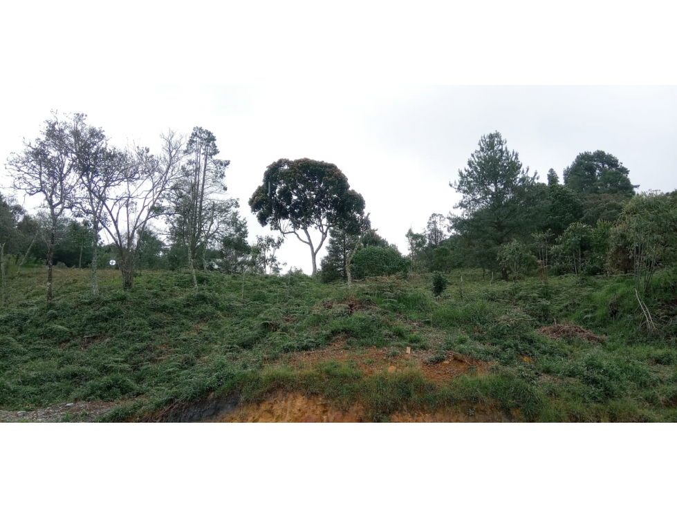 Lote en Venta Sector el Silencio en el Alto de las Palmas Envigado — foto 4