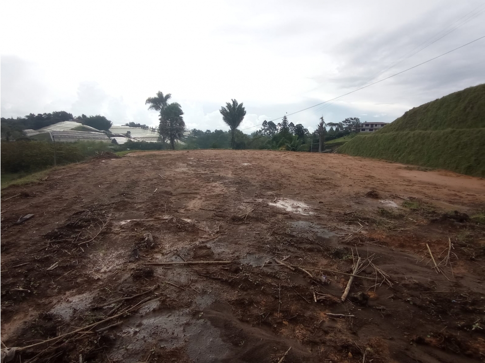 Lote en Venta Sector Samaria en el Carmen de Viboral — foto 5
