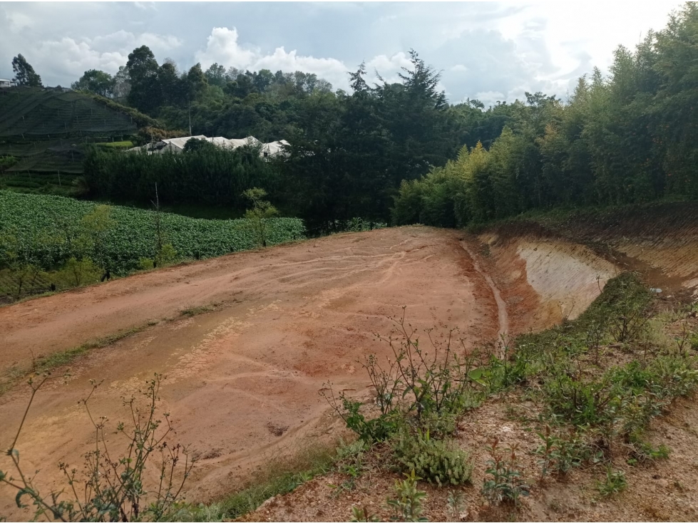 Lote en Venta en el Carmen de Viboral Sector la Sonadora
